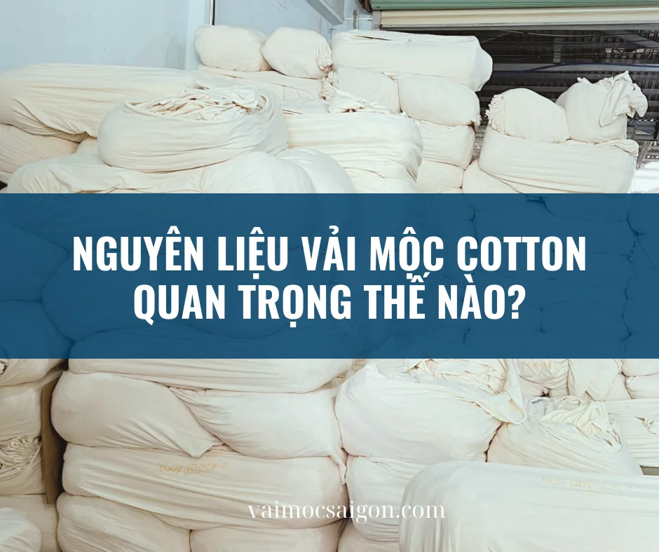 NGUYÊN LIỆU VẢI MỘC COTTON QUAN TRỌNG THẾ NÀO?