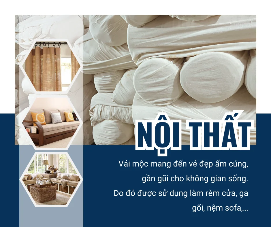 ỨNG DỤNG ĐA DẠNG CỦA VẢI MỘC